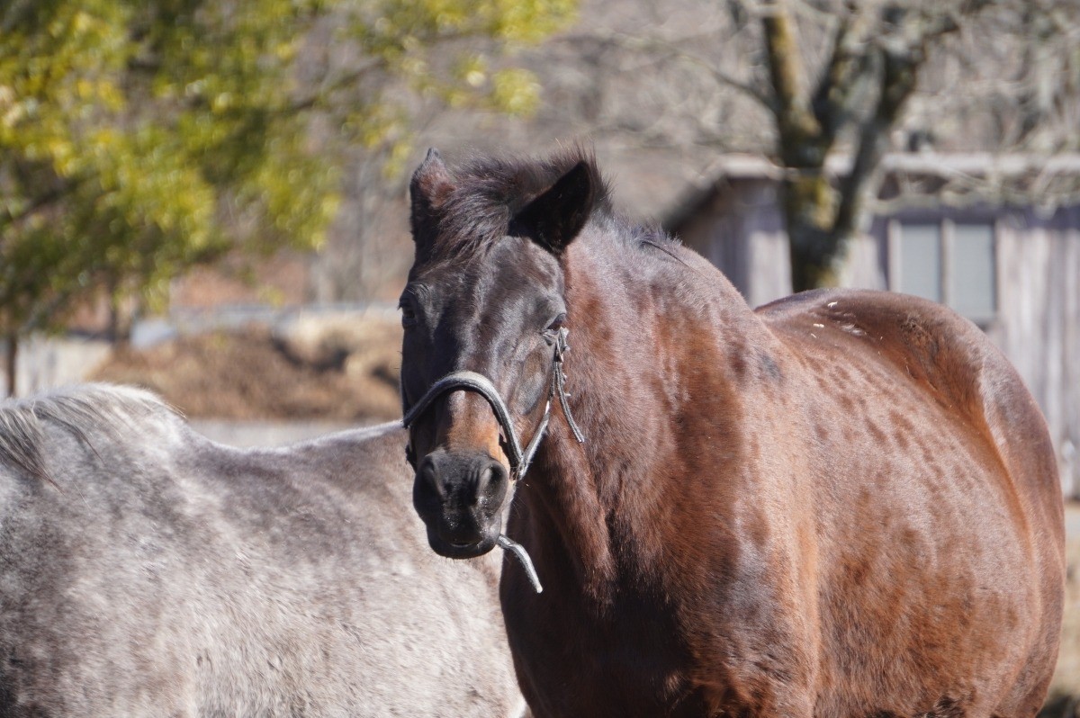 e8abdc3cb4d8085ecce345a5570931e0-1769625938.jpg e8abdc3cb4d8085ecce345a5570931e0-1769625938.jpg